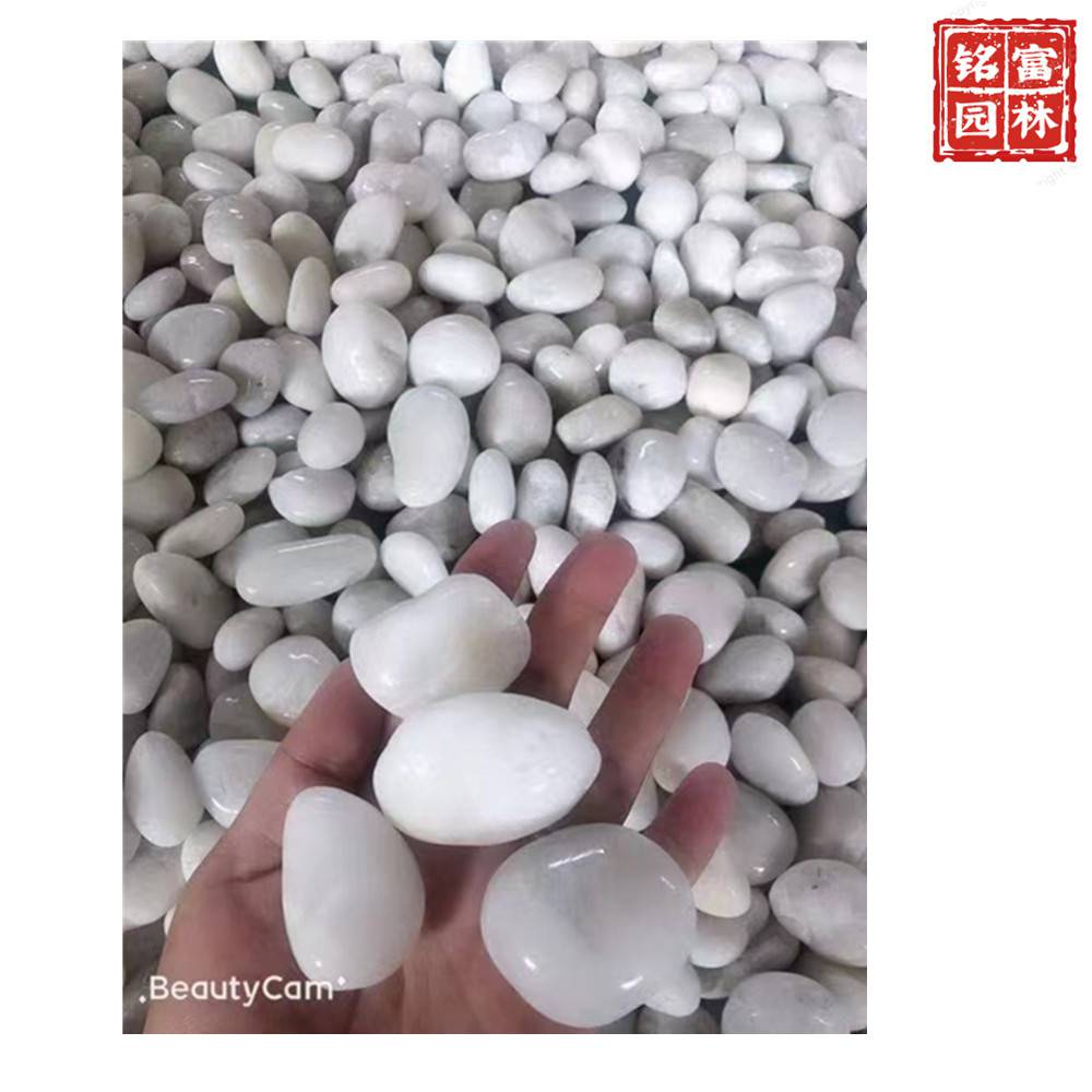 花园路径铺路石-白色鹅卵石-茂名鹅卵石厂家(图10)