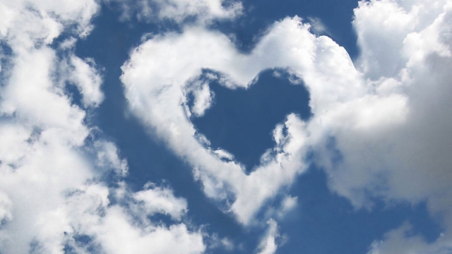 开元集团小学生用什么足球器材踢得好